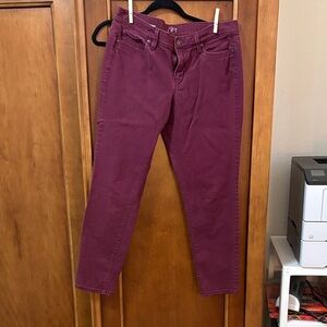 LOFT Plum Straight-Leg Jeans
